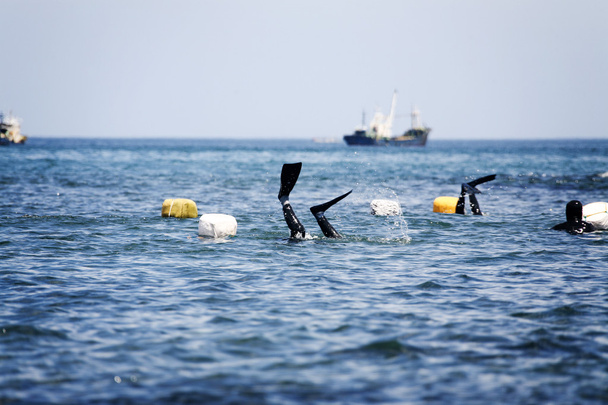 Female divers at Jeju Island - Foto, Bild