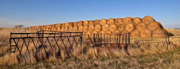 Cattle feeders or hay bunks are located in front of a long row of round bales - Photo, Image