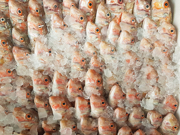 fish shop red mullets heads in order greece - Photo, Image