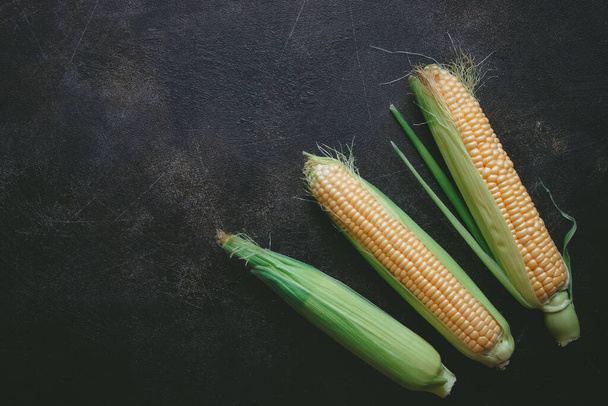 Ear of corn on a dark back - Foto, imagen