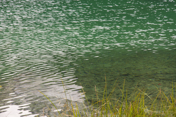 betekintés és részletek az olaszországi Tovel-tóról Trentino Alto Adige városában - Fotó, kép