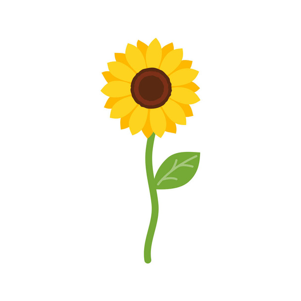 Vector yellow sunflower. Sunflower silhouette text frame Isolated on white background. - Wektor, obraz