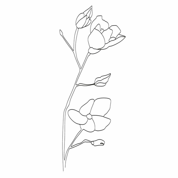Absztrakt növény egy vonal rajz. Kézzel rajzolt modern minimalista design kreatív logó, ikon vagy embléma. Szerkeszthető vonal - Vektor, kép