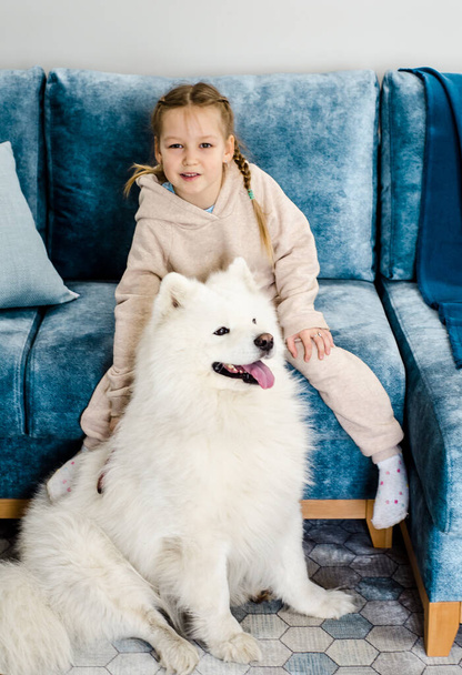mała dziewczynka siedzi na niebieskiej kanapie w pokoju i pieścić białego psa. - Zdjęcie, obraz