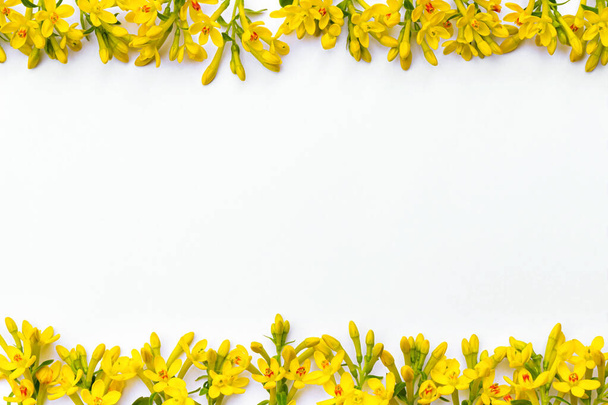 Marco que consta de muchas ramitas pequeñas con flores amarillas de primavera ubicadas debajo y arriba sobre un fondo blanco  - Foto, Imagen