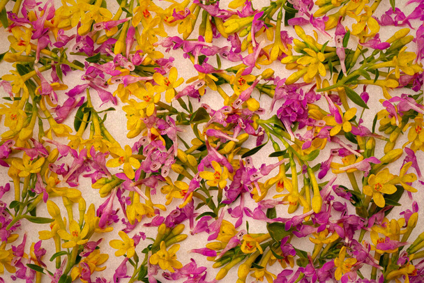 vintage background or texture consisting of many small twigs with yellow and pink spring flowers arranged in a chaotic manner  - Photo, Image