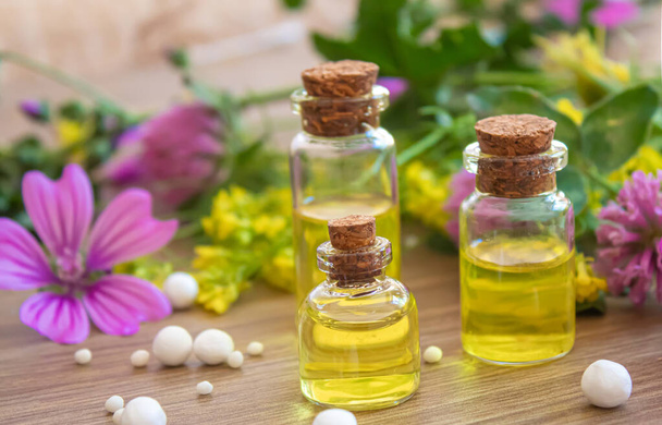hierbas medicinales, aceites en pequeñas botellas homeopatía. focos selectivos.nature - Foto, Imagen