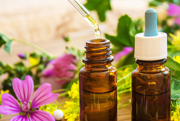 hierbas medicinales, aceites en pequeñas botellas homeopatía. focos selectivos.nature - Foto, imagen