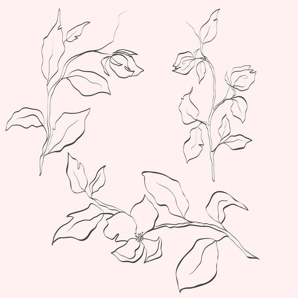 Vector line flower isolated. Element for design. Hand-drawn contour lines and strokes. - Vector, imagen
