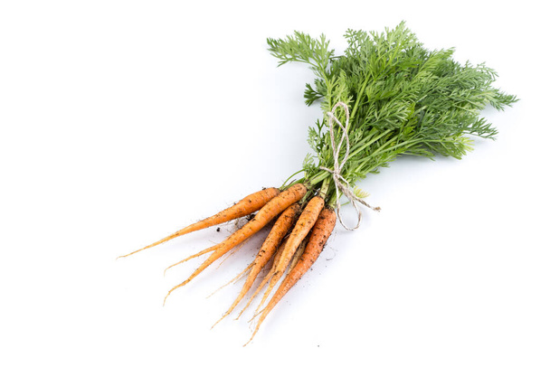 heap of freshly picked carrots isolated on white - Φωτογραφία, εικόνα