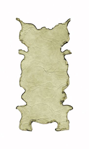 Antique parchment banner with burnt and curled edges isolated on white background. 3D fantasy illustration. Old vintage scroll with wrinkles and folds. Medieval ancient shield. Menu template. - Photo, Image