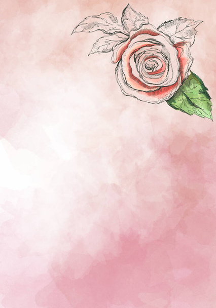 Rose rose pâle, encre et aquarelle - bannière de design botanique. Cadre de bordure aquarelle pastel floral. - Photo, image
