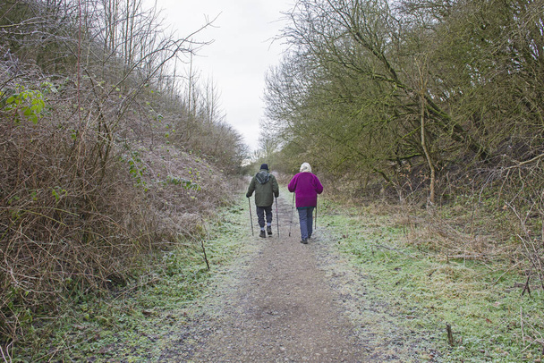 Ouderen lopen over een wandelpad door een afgelegen bos op het platteland in de winter - Foto, afbeelding