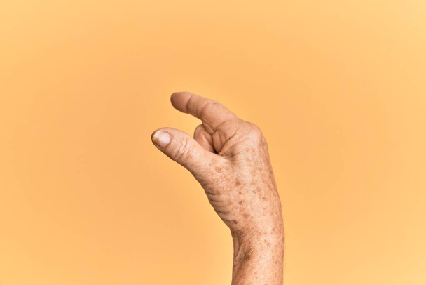 Mão caucasiana sênior sobre amarelo isolado fundo pegar e tomar coisa invisível, segurando objeto com os dedos mostrando espaço  - Foto, Imagem