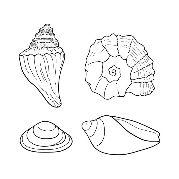 Seashells vector set. Collection of shells different forms. Marine set. Hand-drawn illustrations of engraved line. Design element for invitations, greeting cards, posters, banners, flyers and more. - Vettoriali, immagini