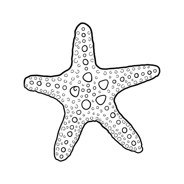 Hand-drawn starfish of engraved line. Design element for invitations, greeting cards, posters, banners, flyers and more. Vector illustration isolated on white background. - Vector, Image