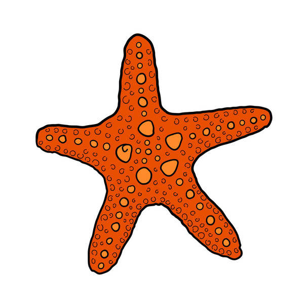 Hand-drawn starfish of engraved line. Design element for invitations, greeting cards, posters, banners, flyers and more.  Vector colorful illustration isolated on white background. - Vector, Image