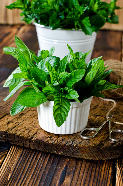Two varieties of mint on a wooden table - Photo, Image