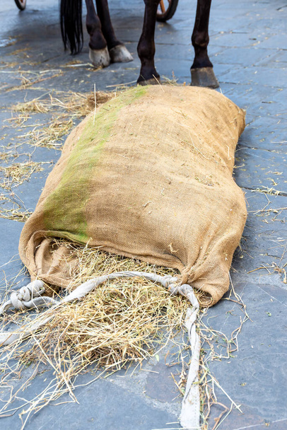 Ένας σάκος τροφής με σανό για να ταΐζει άλογα στο δρόμο στο έδαφος και το σανό είναι εν μέρει έξω από το σακουλάκι τροφής.. - Φωτογραφία, εικόνα