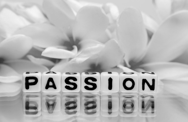 Passion with gray colors - Photo, Image