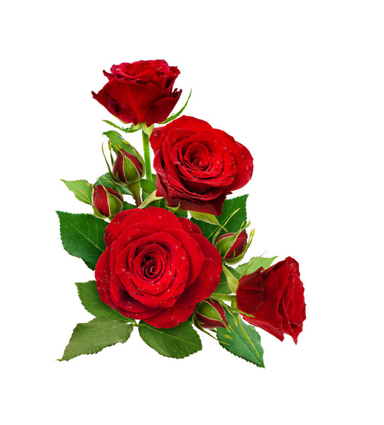 Arrangement d'angle avec des fleurs de roses rouges et des bourgeons isolés sur fond blanc - Photo, image