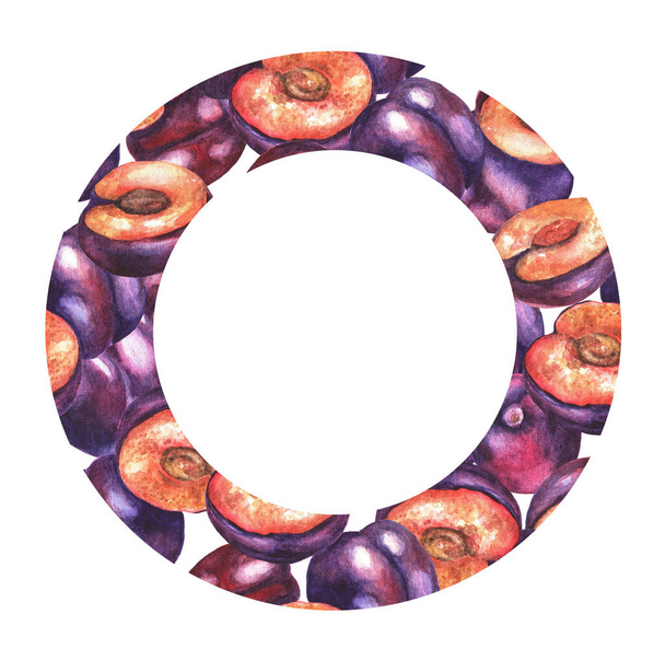 Frame from ripe plums on a white background. Watercolor illustration - Foto, Imagen