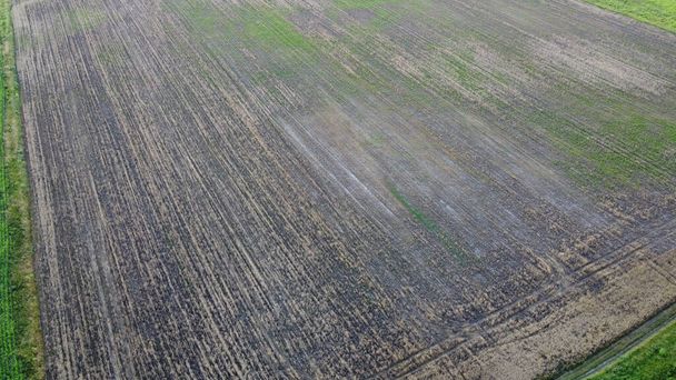 Ein durch schlechtes Wetter beschädigtes landwirtschaftliches Feld. Luftaufnahme, Landschaft. - Foto, Bild