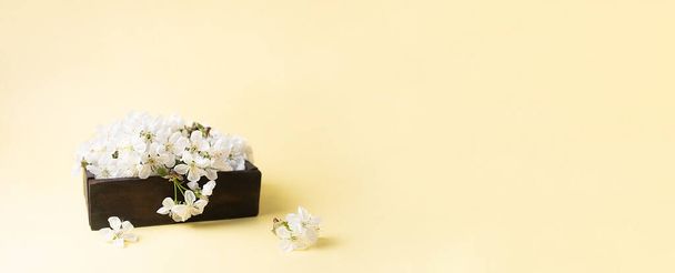 Ανοιξιάτικο πανό, ξύλινο κουτί με λευκά άνθη κερασιάς σε κίτρινο φόντο, άνοιξη, κοντινό πλάνο. - Φωτογραφία, εικόνα