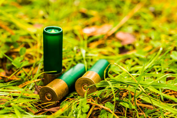 12 gauge bullets on the grass with fallen leaves. - Foto, afbeelding