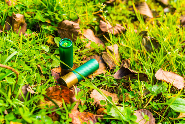 12 gauge bullets on the grass with fallen leaves. - Fotoğraf, Görsel
