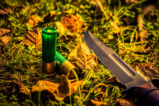 Combat knife and two 12 gauge bullets on the grass with fallen leaves - Foto, Imagem