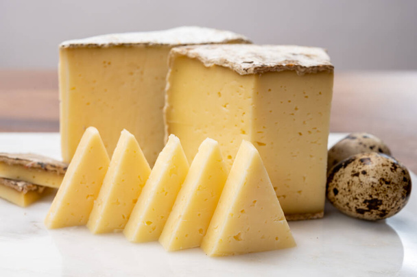 Colección de quesos, queso Tomme de Savoie de la región de Saboya en los Alpes franceses, queso dulce de vaca con interior beige y corteza gruesa de color gris parduzco de cerca - Foto, Imagen