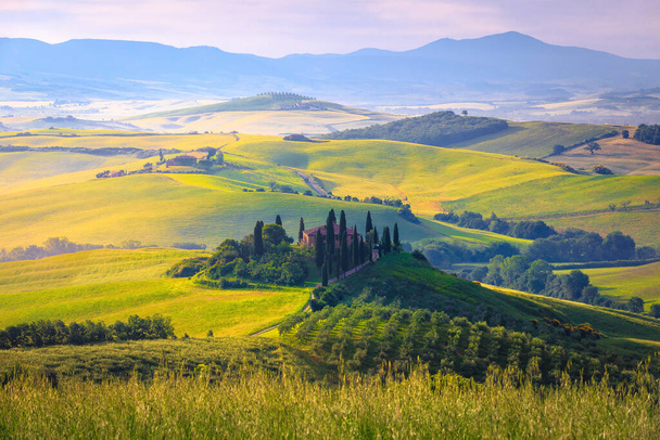 Paisaje impresionante amanecer campo y casas en las colinas con campos de grano. Plantación de olivos y paisaje rural al amanecer en Toscana, Italia, Europa  - Foto, imagen