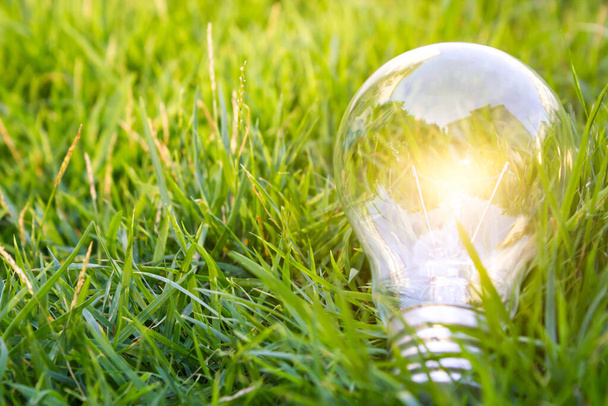 Žárovka zářící na trávě, kreativní koncept ekologické úspory energie s kopírovacím prostorem - Fotografie, Obrázek