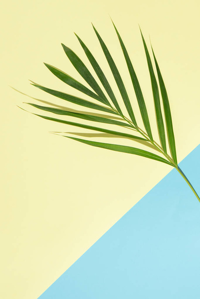 Bottom side copy space. Green palm tree leaves on branches on light sea water blue background from displaced bottom right corner and sand yellow dominating background. Flat lay minimal nature summer beach concept. - Photo, Image