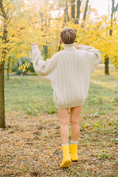 autumn yellow leaf fall conceptual girl in the park - Photo, image