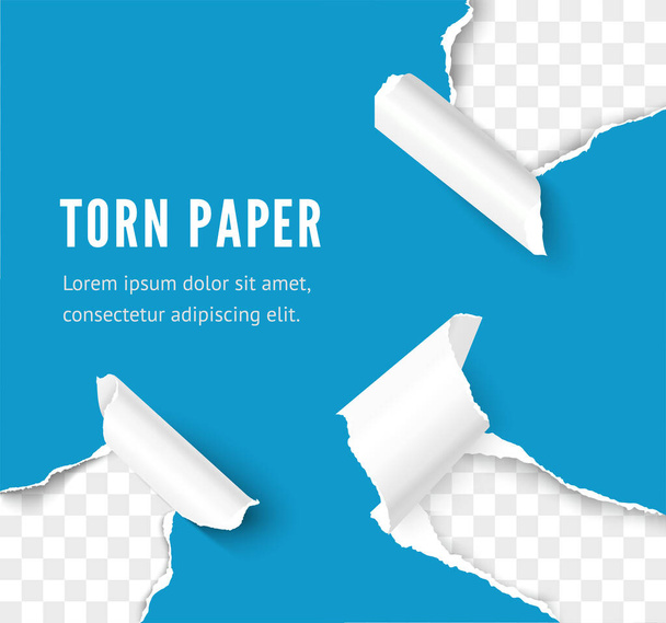Revitty paperi nurkassa vaikutus läpinäkyvä tausta - Vektori, kuva