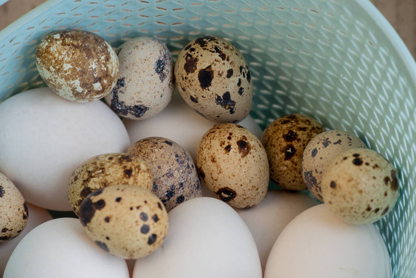 Muitos ovos de galinha branca e ovos de codorna em uma cesta de plástico. foco seletivo - Foto, Imagem