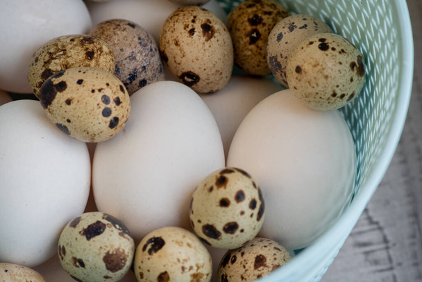 Spousta bílých kuřecích vajec a křepelčích vajec v plastovém koši. selektivní zaměření - Fotografie, Obrázek