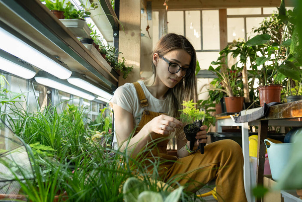 Junge Frauen kümmern sich nach Feierabend um Topfpflanzen, entspannen im Garten. Floristin und Unternehmerin - Foto, Bild