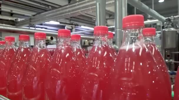 Rote Flüssigkeit süßes Erfrischungsgetränk bewegt sich am Förderband - Filmmaterial, Video