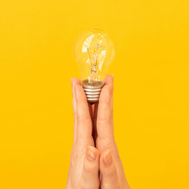 Concept of the new idea, light bulb in hand close-up on orange yellow background, isolated  - Photo, Image