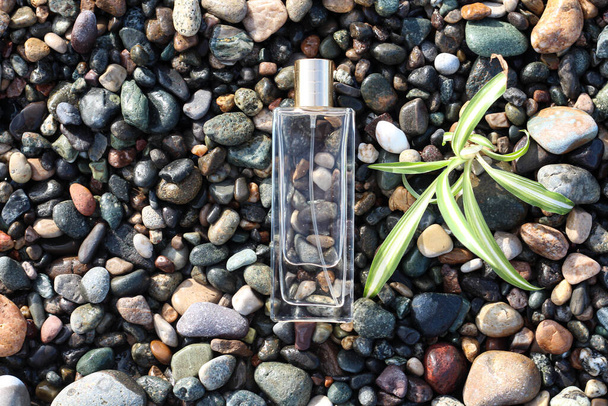 composizione posata piatta di una bottiglia di profumo trasparente  - Foto, immagini