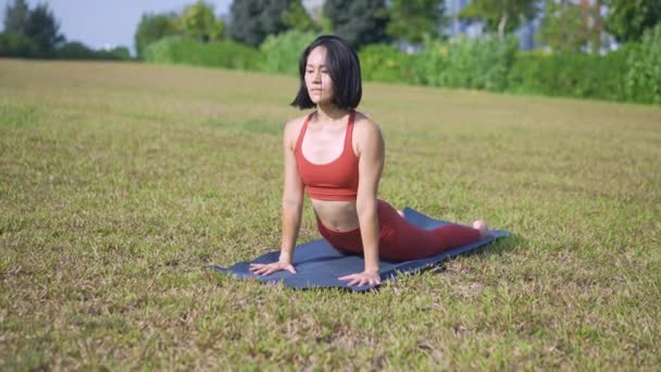 zooming out jediný asijský číňan žena jóga jóga na ráno zelená zahrada louka - Záběry, video