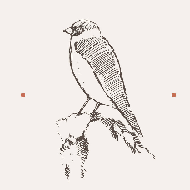 Бульбашковий птах З Різдвом Новим Роком Вектор
 - Вектор, зображення