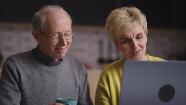 χαρούμενα πρόσωπα της γιαγιάς και του παππού κατά τη διάρκεια της online επικοινωνίας με την οικογένεια, συνταξιούχοι ψάχνουν στην οθόνη του φορητού υπολογιστή - Πλάνα, βίντεο