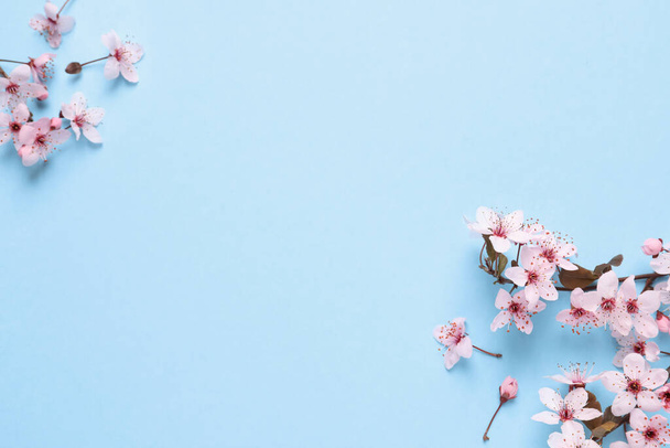 Beautiful spring tree blossoms on light blue background, flat lay. Space for text - Fotoğraf, Görsel