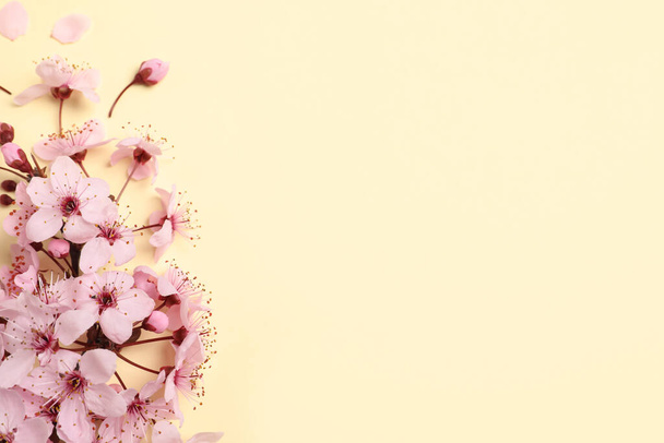Cherry tree branch with beautiful pink blossoms on beige background, flat lay. Space for text - 写真・画像