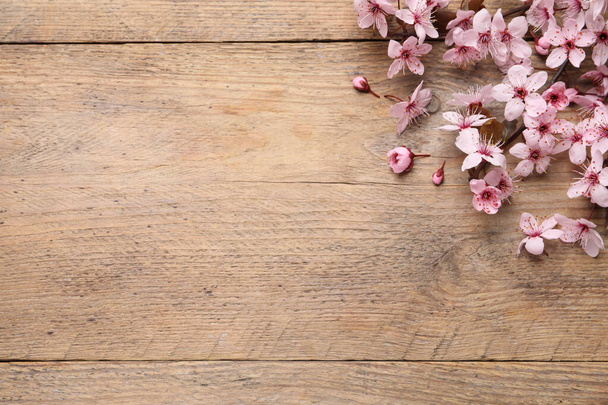Cherry tree branch with beautiful pink blossoms on wooden table, flat lay. Space for text - Fotoğraf, Görsel