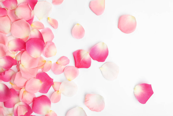 Beautiful petals on white background, flat lay - Foto, immagini